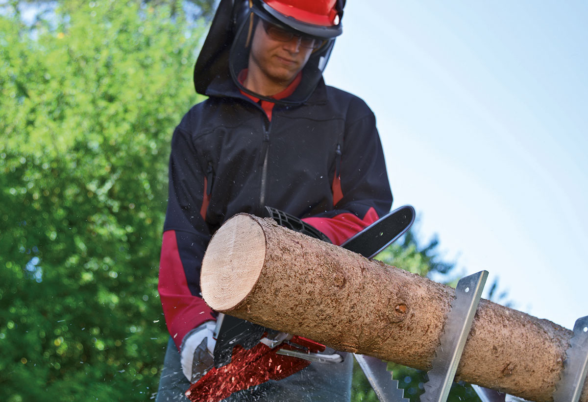 Εδώ απεικονίζεται η λάμα της Oregon.